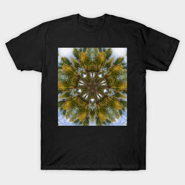 Pattern of palm trees, Miami Beach, Florida T-Shirt by Reinvention